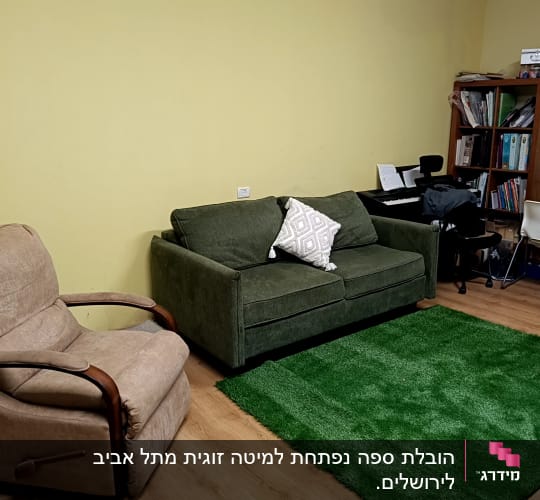 סלון עם ספה ירוקה וכורסה על שטיח ירוק